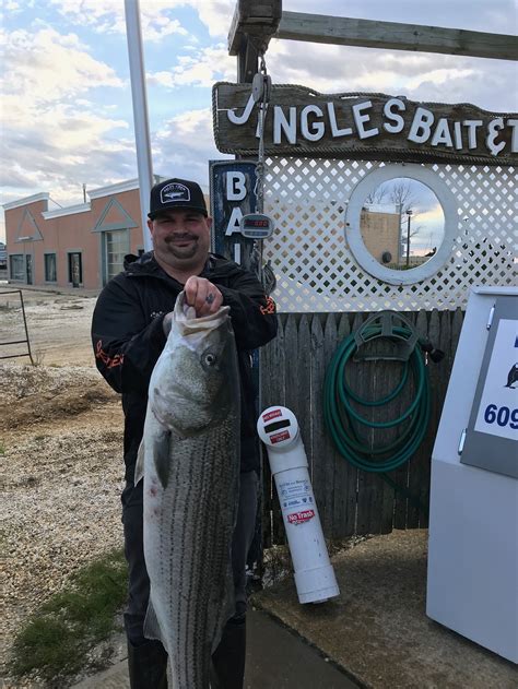 Jingles fishing report - Forecast Contributor – Richard Markland, Region 4 Fisheries Technician. Reservoir Conditions- Reservoir elevation is 1361.99 The water temperature is 46* degrees. Water clarity 5-10’ visibility. Bass- Good- Largemouth, Spots and are being caught on small shad like baits, crankbaits, vertical fishing with drop shot type baits, A-rigs.